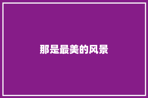 那是最美的风景