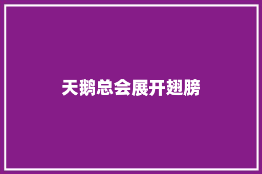 天鹅总会展开翅膀
