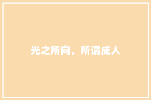 光之所向，所谓成人