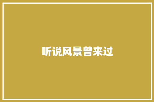 听说风景曾来过