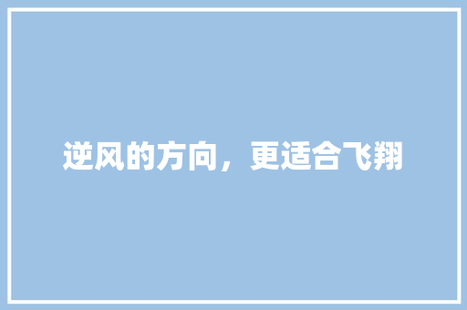 逆风的方向，更适合飞翔