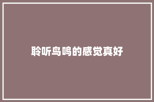 聆听鸟鸣的感觉真好