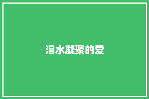 泪水凝聚的爱