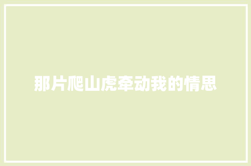 那片爬山虎牵动我的情思