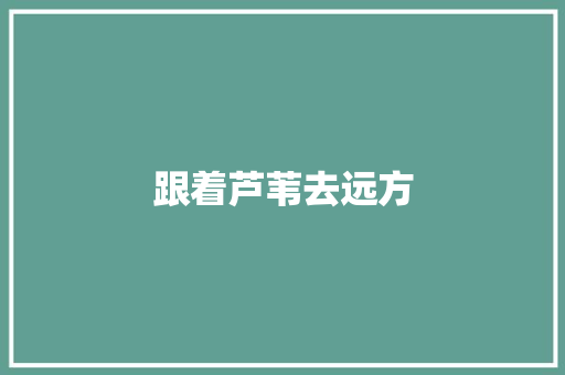 跟着芦苇去远方