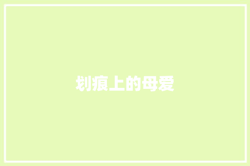 划痕上的母爱