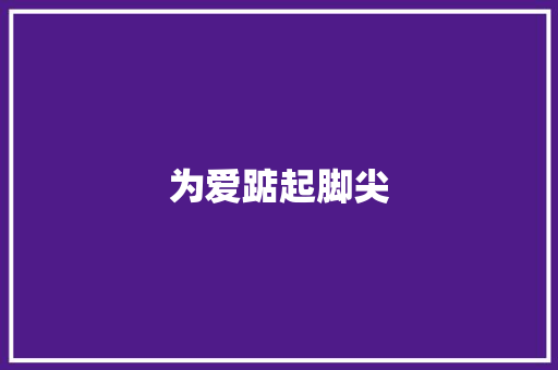 为爱踮起脚尖