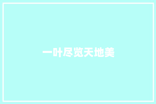 一叶尽览天地美