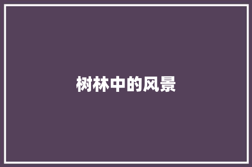 树林中的风景
