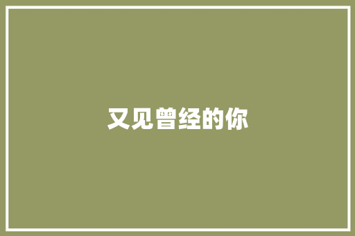 又见曾经的你 知识百科