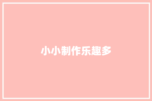 小小制作乐趣多