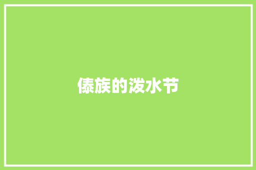 傣族的泼水节