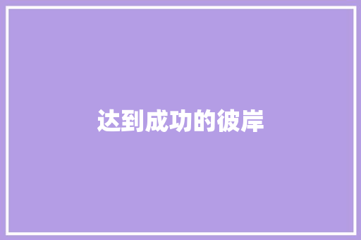 达到成功的彼岸