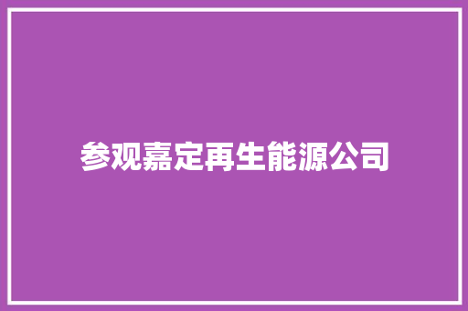 参观嘉定再生能源公司