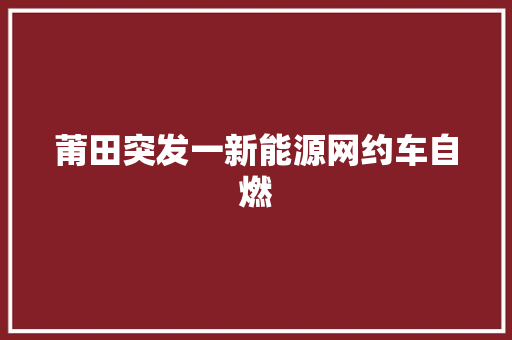 莆田突发一新能源网约车自燃