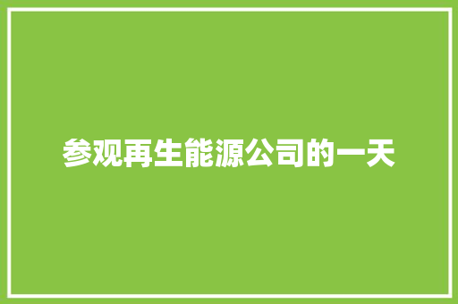 参观再生能源公司的一天