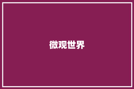 微观世界