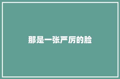那是一张严厉的脸
