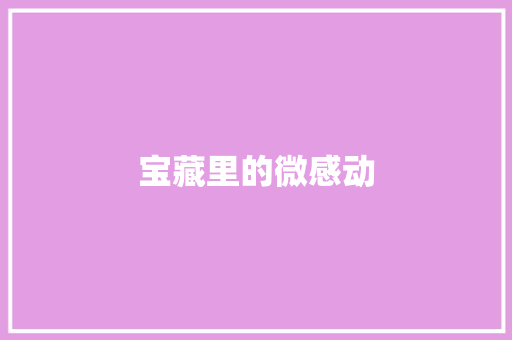 宝藏里的微感动