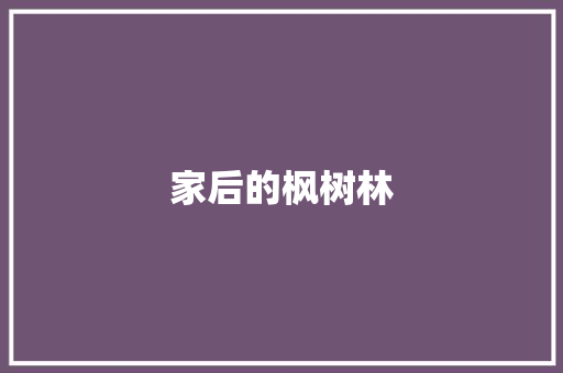 家后的枫树林