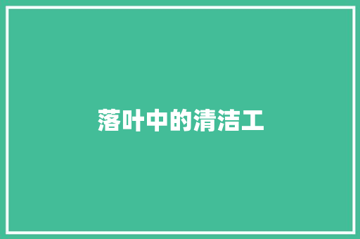 落叶中的清洁工