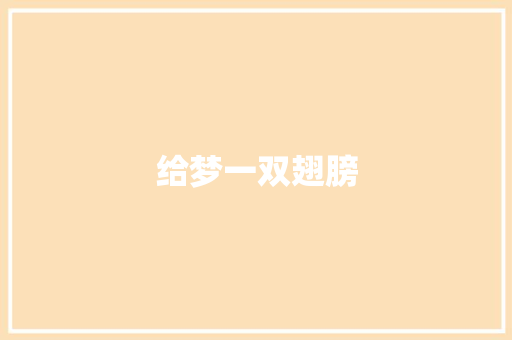 给梦一双翅膀