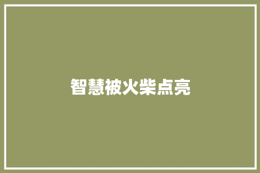 智慧被火柴点亮