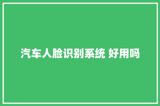 汽车人脸识别系统 好用吗