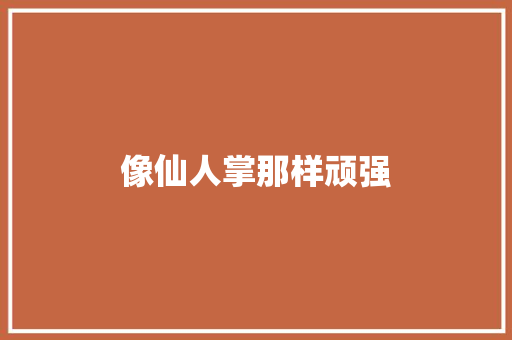像仙人掌那样顽强