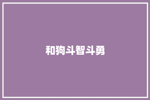 和狗斗智斗勇