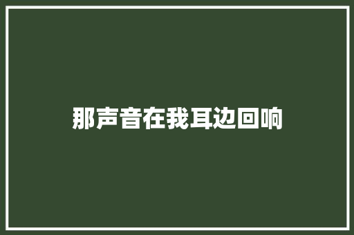 那声音在我耳边回响