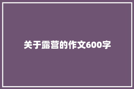 关于露营的作文600字