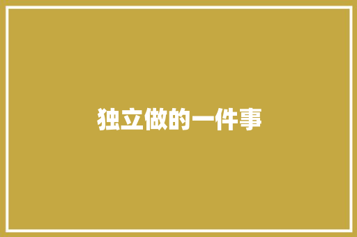 独立做的一件事