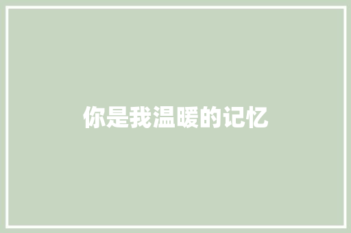 你是我温暖的记忆