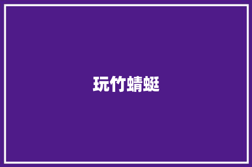 玩竹蜻蜓