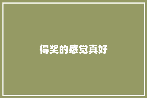得奖的感觉真好