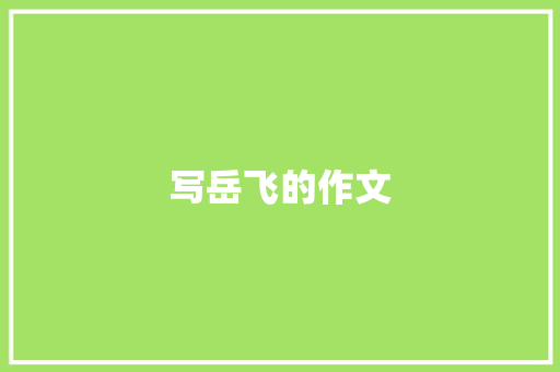 写岳飞的作文