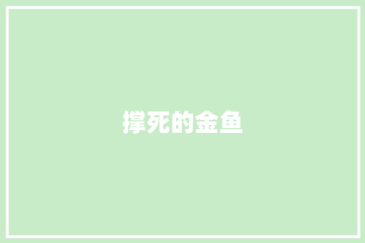 撑死的金鱼
