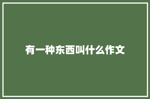 有一种东西叫什么作文