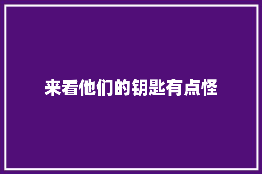 来看他们的钥匙有点怪