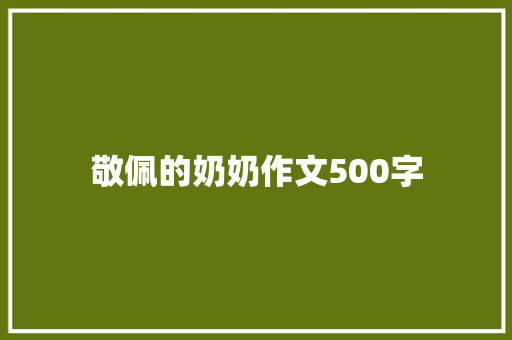 敬佩的奶奶作文500字