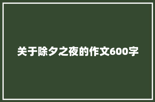 关于除夕之夜的作文600字