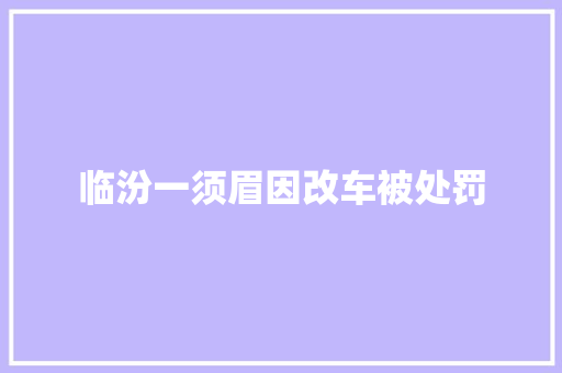 临汾一须眉因改车被处罚