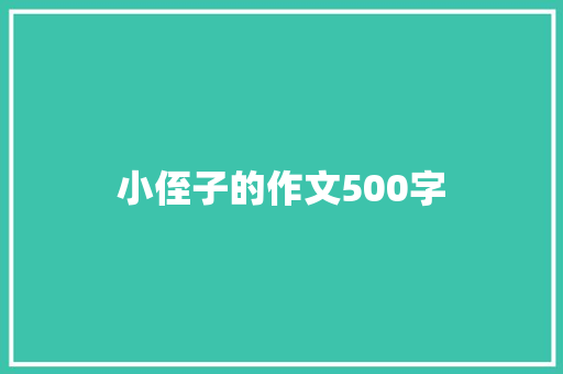 小侄子的作文500字