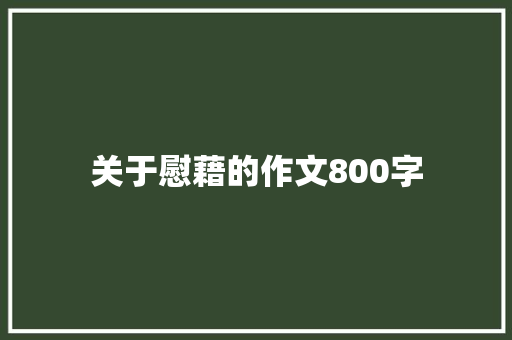 关于慰藉的作文800字