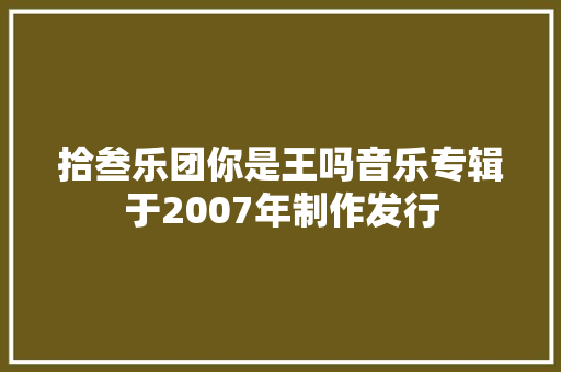 拾叁乐团你是王吗音乐专辑于2007年制作发行