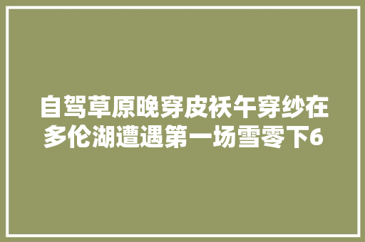自驾草原晚穿皮袄午穿纱在多伦湖遭遇第一场雪零下6度 汽车知识
