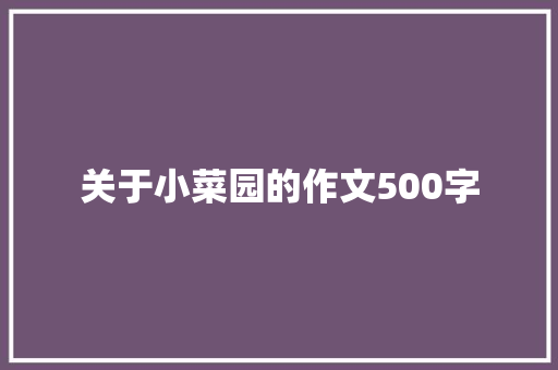 关于小菜园的作文500字