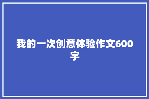 我的一次创意体验作文600字