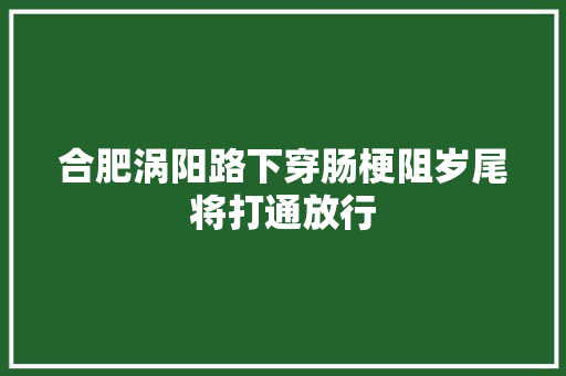 合肥涡阳路下穿肠梗阻岁尾将打通放行